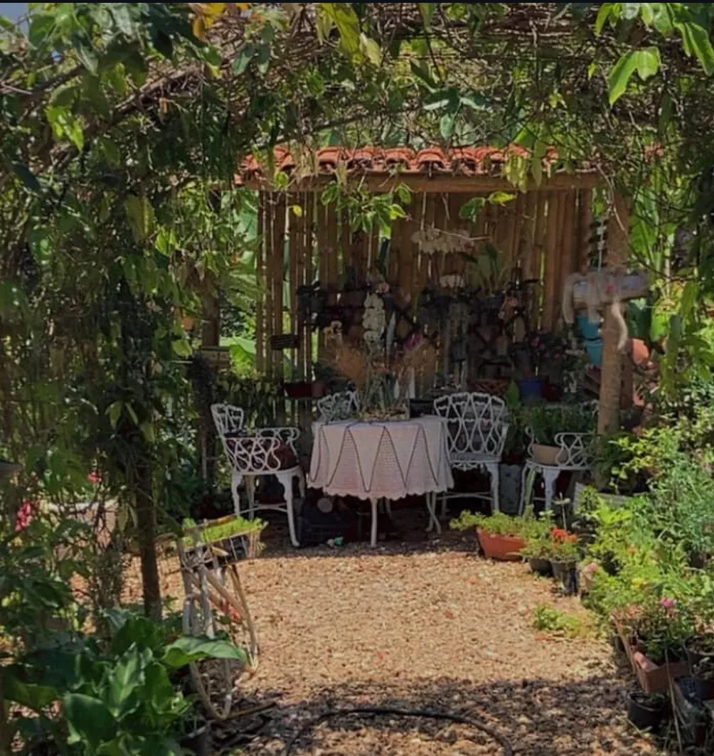 Floricultura Arte Minha — foto 2