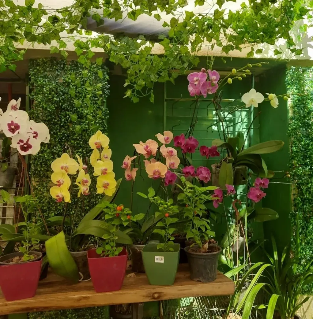 Floricultura Arte Minha — foto 3