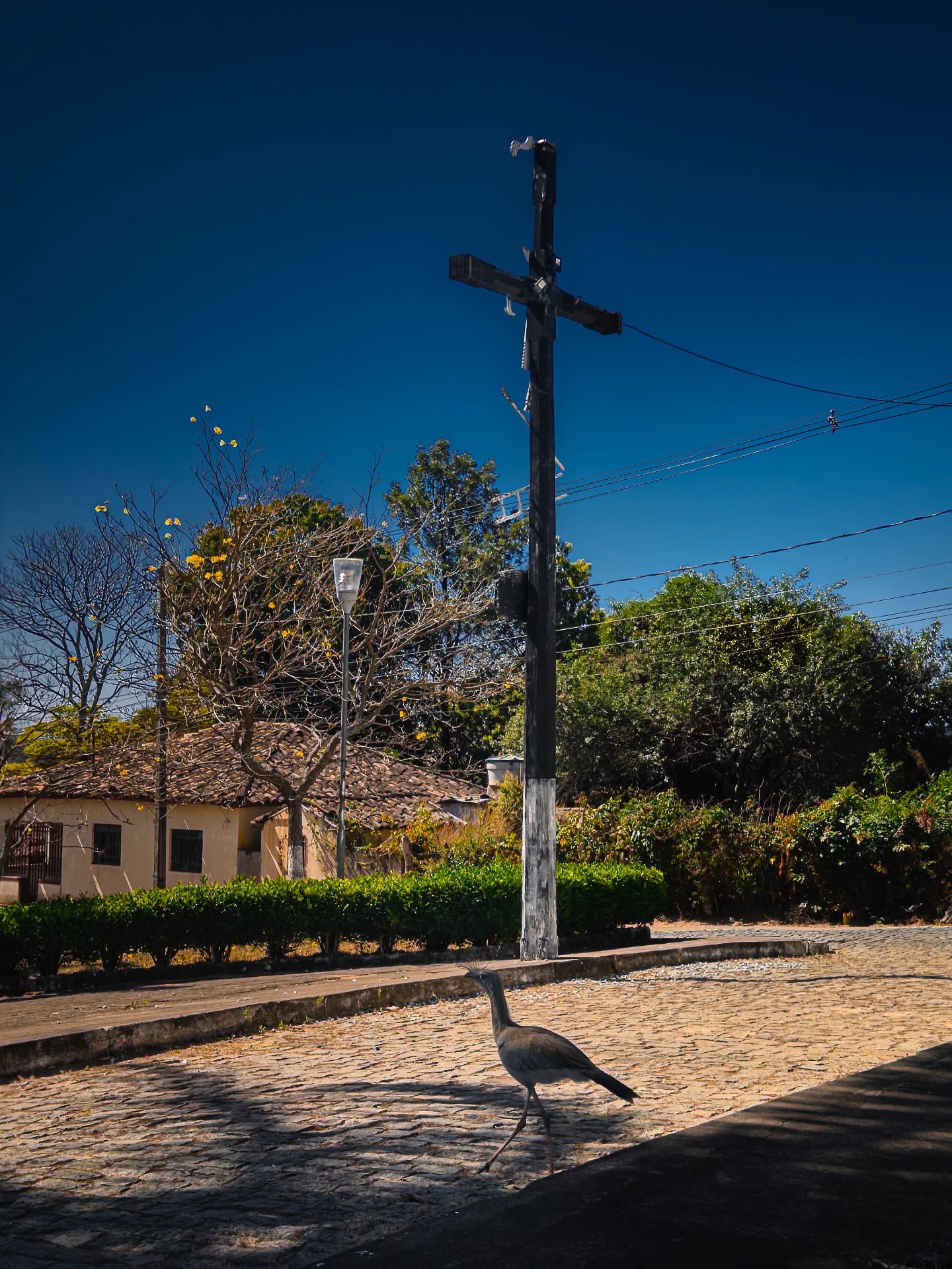Até no silêncio da rua, a vida encontra poesia.