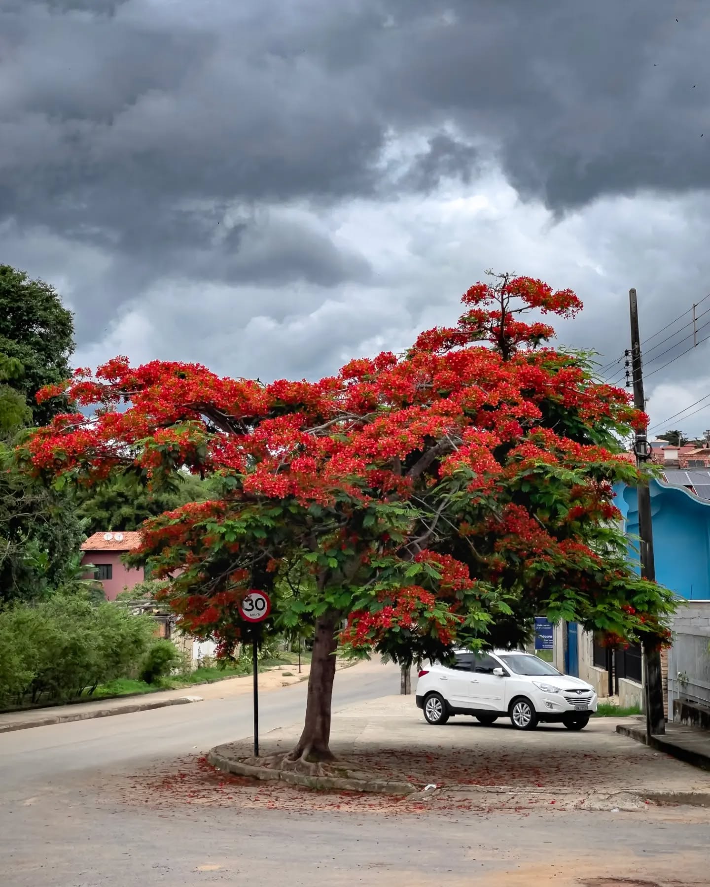 Foto do Instagram — 12/10/2024