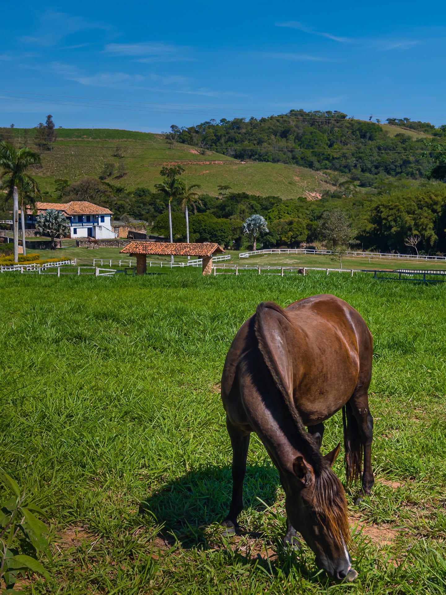 A Fazenda Palestina, em Bonfim MG, é um dos patrimônios históricos mais marcantes da região. Construída no século XVIII,