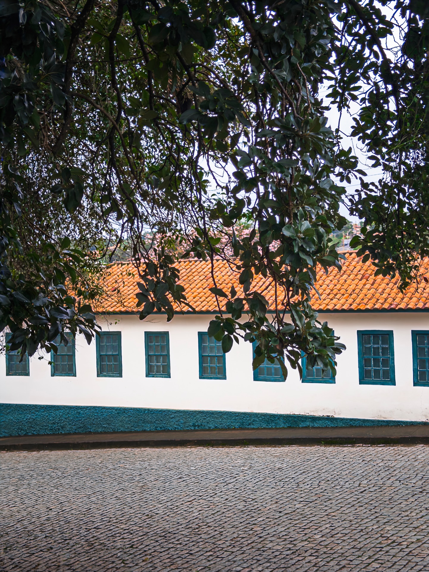 Foto do Instagram — 19/03/2026